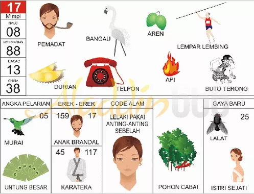 buku mimpi erek erek togel 17