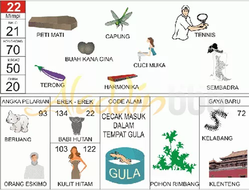buku mimpi erek erek togel 22