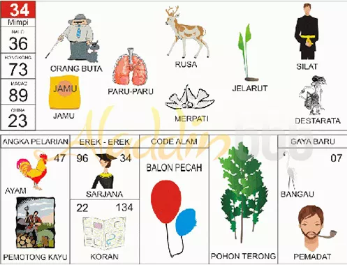 buku mimpi erek erek togel 34