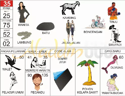 buku mimpi erek erek togel 35