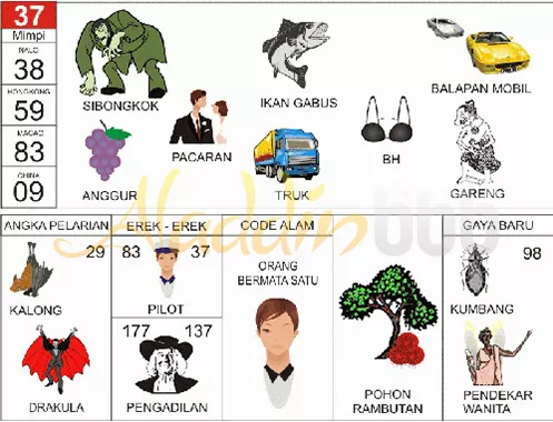 buku mimpi erek erek togel 37