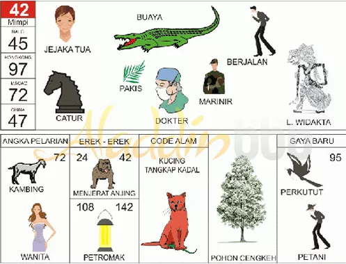 buku mimpi erek erek togel 42