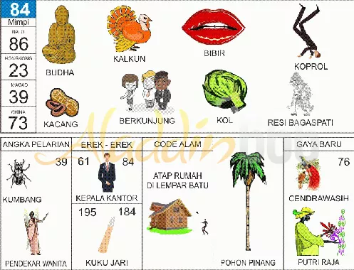 buku mimpi erek erek togel 84